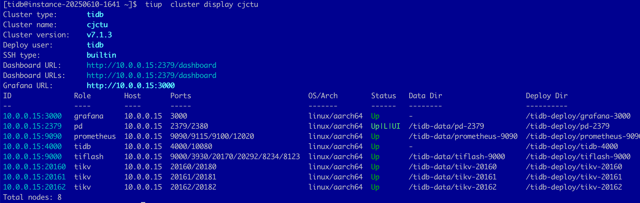 image-20251118153943977