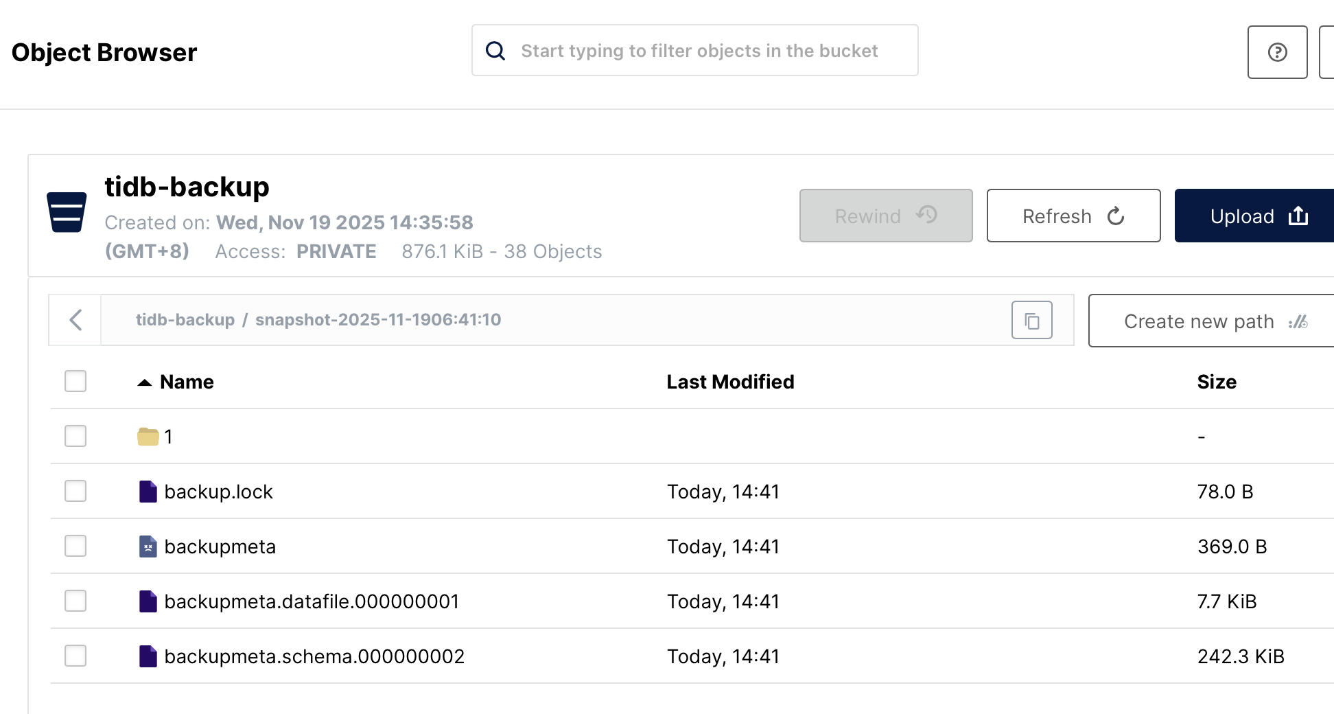 image-20251119145444917