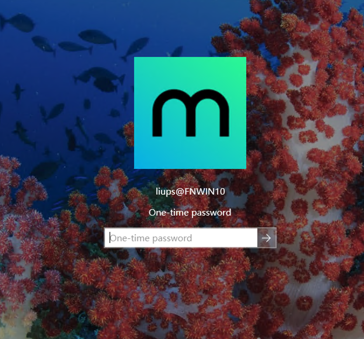 image-20251130153900180